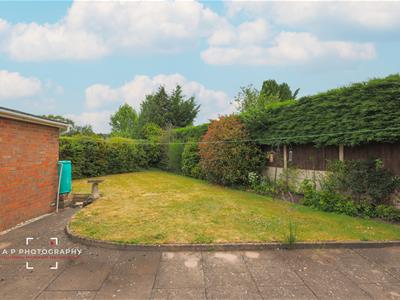 Picture 22